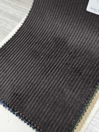 CD5501-CB Velluto a coste 8W C100 marrone carbone[Tessile] HOSOI SYOJI Immagini aggiuntive