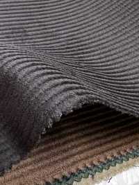 CD5501-CB Velluto a coste 8W C100 marrone carbone[Tessile] HOSOI SYOJI Immagini aggiuntive