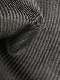 CD5501-CB Velluto a coste 8W C100 marrone carbone[Tessile] HOSOI SYOJI Immagini aggiuntive