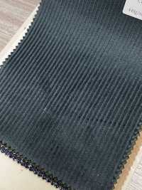 CD5501-DG Velluto a coste 8W C100 Verde scuro[Tessile] HOSOI SYOJI Immagini aggiuntive