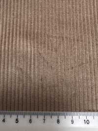 CD5501-BE Corduroy Giapponese Standard 8W Senza Motivo Beige[Tessile] Immagini aggiuntive