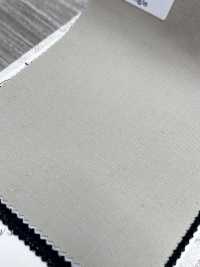 CW3501-MT Collezione principale di lana prodotta in Giappone, beige medio[Tessile] HOSOI SYOJI Immagini aggiuntive