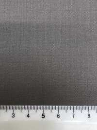 56CN5279 CANONICO (Canonico) PERENNIAL Beige[Tessile] CANONICO Immagini aggiuntive
