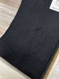 CD5501-BK Velluto a coste 8W C100 Nero[Tessile] HOSOI SYOJI Immagini aggiuntive