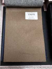 LP6578 Loro Piana Cachi senza motivo[Tessuti] HOSOI SYOJI Immagini aggiuntive