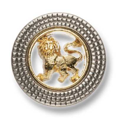 917 Bottone in metallo di produzione giapponese per abiti e giacche, motivo leone, oro/argento