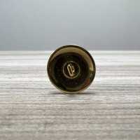 EX259 Bottoni In Metallo Per Abiti Domestici E Giacche Oro/Verde[Pulsante] Yamamoto(EXCY) Sottofoto