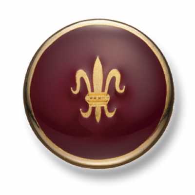 HS-228 Holland&Sherry Bottoni in metallo per completi e giacche, oro