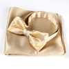 VBF-07 VANNERS Tessuto Usato Papillon Motivo Righe Champagne Gold