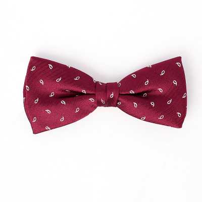 VBF-24 Papillon in tessuto VANNERS, Paisley Dot, bordeaux